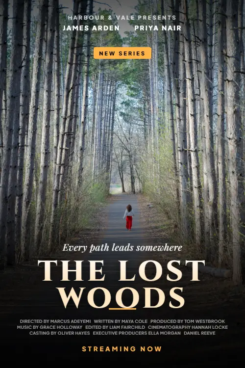 The Lost Woods – family mystery series
