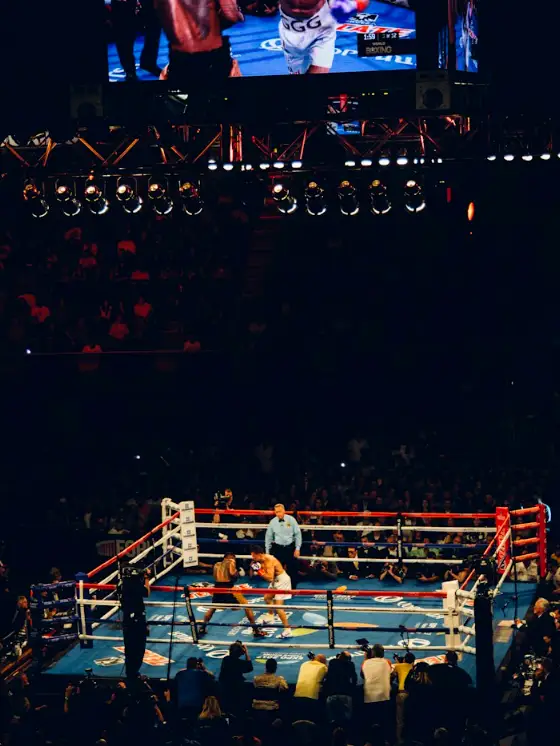 Live boxing fight nights